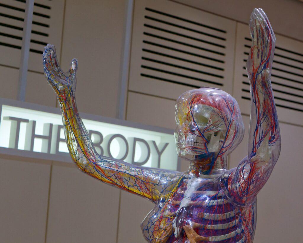 Body Statue