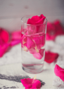 Roses in Water